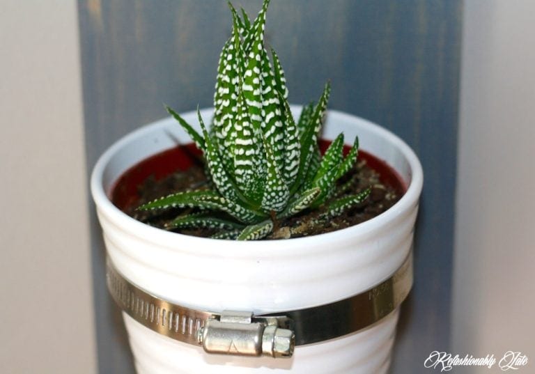 Hanging Succulent Planter – The Home Depot Gift Challenge