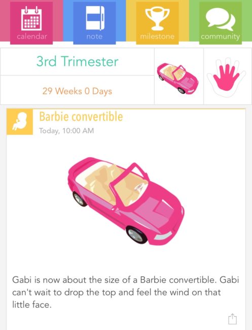3rd Trimester Bumpdate - www.ruthietabone.com
